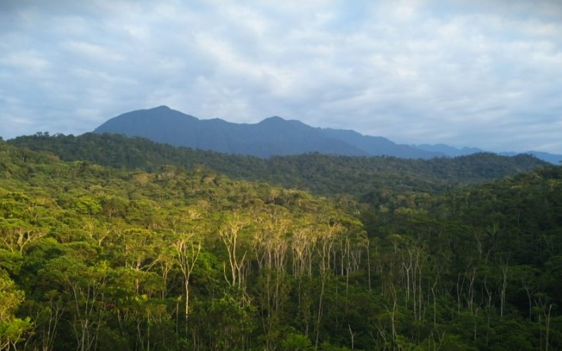 60 hectáreas destinadas para la consrvación de bosques